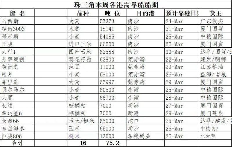 广州贸易公司的成长之路：从新手到专业人士
