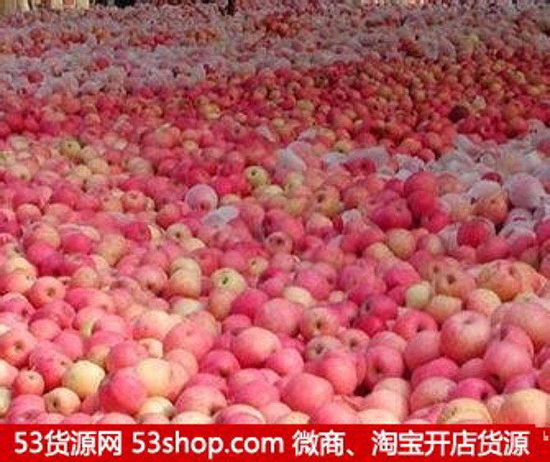 商品代购：如何在海外淘到好货？